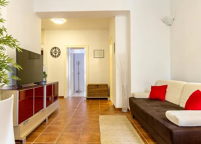 Of Solitude 스플리트